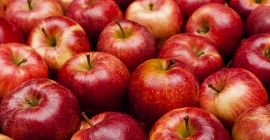Gala is an apple variety consumed in many countries