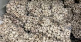 Ich verkaufe polnischen Knoblauch, gewürzt. Sehr hübsch, gesund. Verpackt
