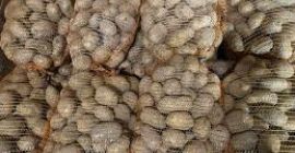 Ciao Venderò patate, varietà &quot;TAJFUN&quot; 3,5 tonnellate. Le patate