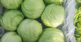 Bună ziua, o companie italiană poate furniza legume și