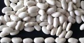 White beans (kidneys) for sale