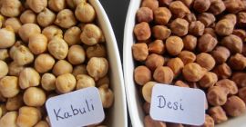 We sell (Desi & Kabuli) Chickpeas) to serious buyers all over the world at competitive prices. Whatsapp: +17206830256