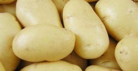Продаја свежег кромпира Назив Свеж ... Продаја свежег кромпира