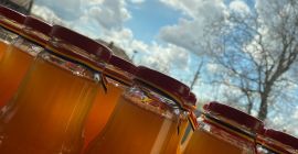 Ökologisch zertifizierter Apfelsaft! (golden delicious Sorte) Ohne Zusatz von