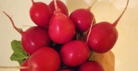 I will sell a radish at the beginning of