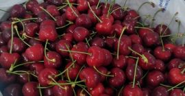Уважаемые Feinds , я предлагаю вам свежую вишню по