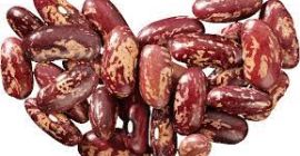 Пасуљ Натур Продуцт продаје квалитетан пасуљ разних сорти. Свака