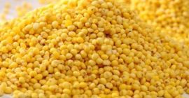 I am selling yellow millet. Cleanliness up to 98.5%,