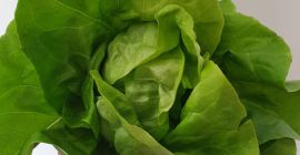 Класична румунска салата - фиксна цена 1 леу /