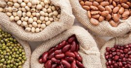 The Ukrainian company Beans Natur Product sells beans of