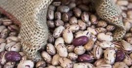 Украјинска компанија Беанс Натур Продуцт продаје пасуљ различитих сорти.