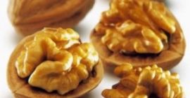 Wir kaufen geschälte und ganze Walnüsse, das ganze Sortiment.