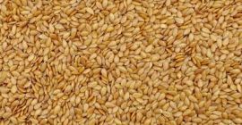 Sale of Ukrainian cereal products in large quantities: corn