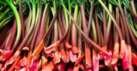 Ich werde einen Himbeer-Rhabarber verkaufen, ungefähr 8 Tonnen. Lecker
