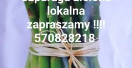 I will sell green asparagus from my own farm.