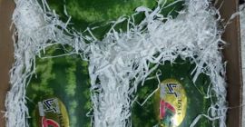 Avem de vânzare un pepene verde de import de