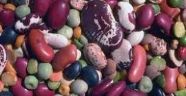 We sell wholesale red beans, white beans with delivery