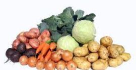 A company from Ukraine will buy potatoes in bags