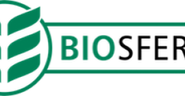 Bio hajdina - 7 PLN kilogrammonként. Kiszállítás futárral az