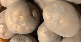 I will sell edible potatoes, varieties Vineta and Tajfun,