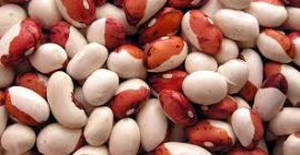 Beans for processing. I will buy beans of all