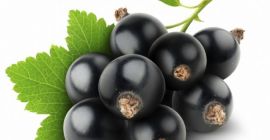 Добро јутро, продат ћу лепу, велику чоколадицу на ручни