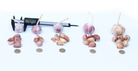 Привет, мои постоянные и новые клиенты. Ежегодно продаю, у