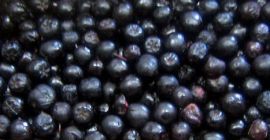 Ја ћу продати чоколадне плодове од конвенционалних и транзицијских