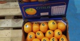 У нас есть лимон, лайм, цитрусовые на складе, загрузка