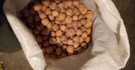 Hallo, ich werde von 2020-2021 Walnüsse verkaufen, nähere Infos