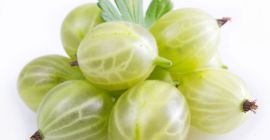 I will buy fresh gooseberries in large, full-truck, wholesale