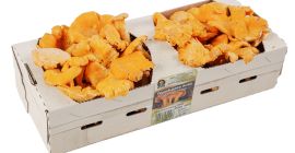 I will sell fresh chanterelle mushrooms in the season