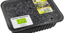 I will sell forest blueberries in the season of