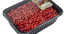 Fresh blueberries for sale in the season of 2022.