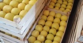 Ich verkaufe Äpfel aller Sorten. Bereit ab September. Für