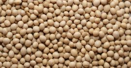 GMO soybean: Humidity - up to 12% Estimated admixture