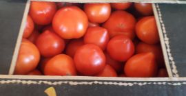 Tomaten Wette und Precos.