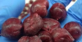 Био и обычная вишня IQF без косточек. Высококачественная питтинговая