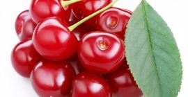 Fresh sour cherries for sale. The Oblacinska variety, the