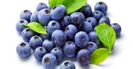 Very large and extremely sweet blueberry