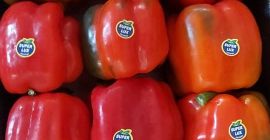 ardei roșu CALIFORNIA. - 8,00 PLN / KG Ardei