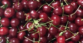 I am selling very tasty cherries, large quantity, orchard