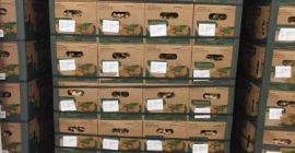 Ich verkaufe frischen Ingwer Erstklassig verpackt im 13,6 kg