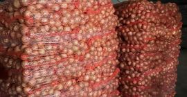 Нудимо доставу кромпира и другог поврћа из Пољске (купус,