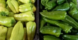 Продајем жуте паприке, дебела капија. Парадајз: воловско срце, џиновска