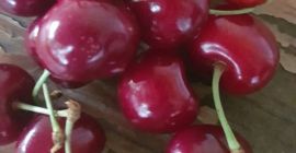 Ich verkaufe Moldawische Kirschen der Sorte Moldavian Multifruit, Regina,