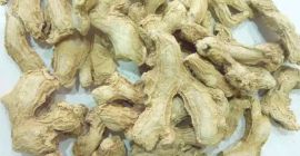 Kostenlos Bitter Kola und fein säuberlich getrockneter und gemahlener