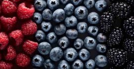 Vindem fructe de padure, ciuperci si trufle Plante medicinale,