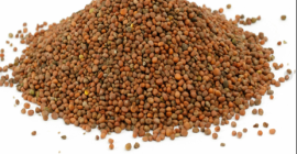 Oferim cereale de înaltă calitate (Lucernă, Fescue, SainfoinЮ, Ryegrass,