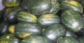 Meloni ungheresi di prima classe in vendita tra 10